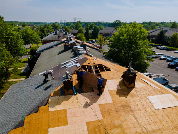 Roof Gutter Cleaning in Marshallville, GA