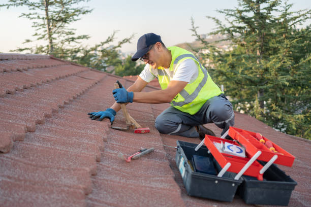 Best Local Roofing Companies  in Marshallville, GA