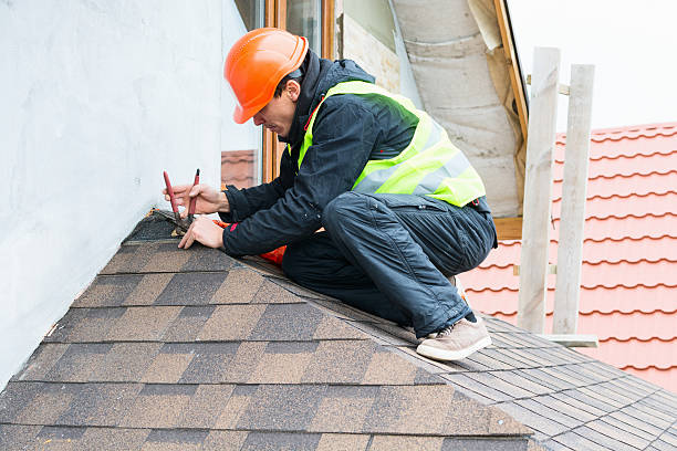 Best Roof Gutter Cleaning  in Marshallville, GA