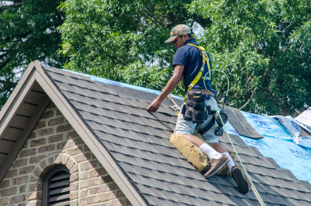 Best Roof Restoration Services  in Marshallville, GA